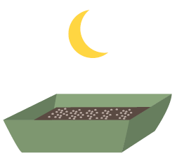obscurite-germination-humidite